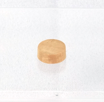 Wasserklappen-Kork 10 mm